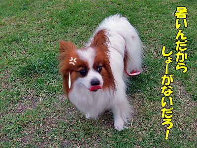 ½ë¤µ¤Ç¥Ü¥±¥Ü¥±¡¦¡¦¡¦¡¦ª