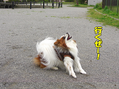 ½Õ±«¡¦¡¦¡¦¦