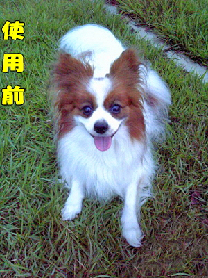 Ãî½ü¤±¥¹¥×¥ì¡¼¤