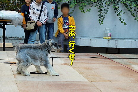 ´èÄ¥¤ì¡¢¤Ð¤Õ¢ö¡Ê¸åÊӡ˨
