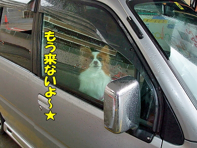 ¸¡ºº·ë²Ì¤Ï¡¦¡¦¡¦¡©¨