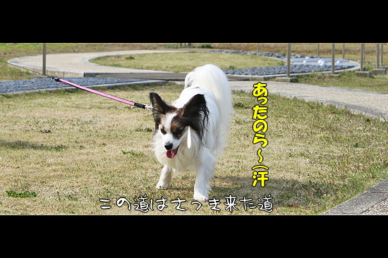 ¤µ¤è¤Ê¤é¡¢AKI¤µ¤ó¡¦¡¦¡¦¥Õ¥¡¥¤¥Ê¥ë¡ª24