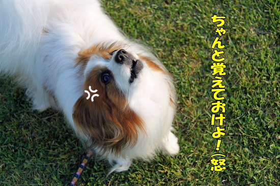 ¡ÚWan 2011¡Û¡Ê¥×¥í¥í¡¼¥°¡Ë¡¡03