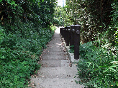 38ǯ²ñ28