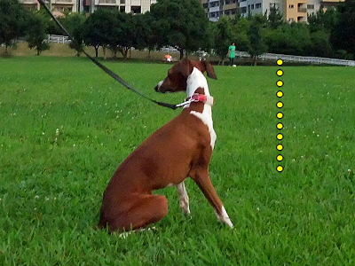 ¤½¤Î¥µ¥¶¡¦ÈÖ³°ÊÔ¨