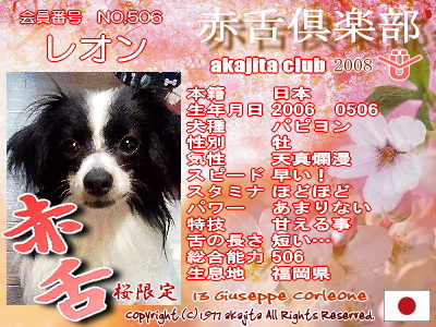 506-leon-2008saku¶