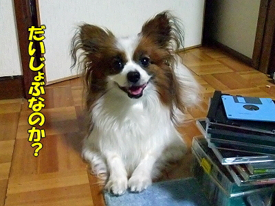 ¥¸¥¥Ë¥ó§