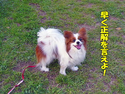 Àµ²ò¼Ô¿¿ô¡¦¡¦¡¦orz¢