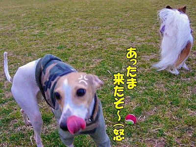 郎°ìÈÖ¡¦¡¦¡¦¡¦¦