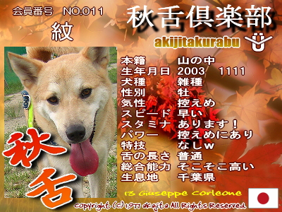 011-mon-aki