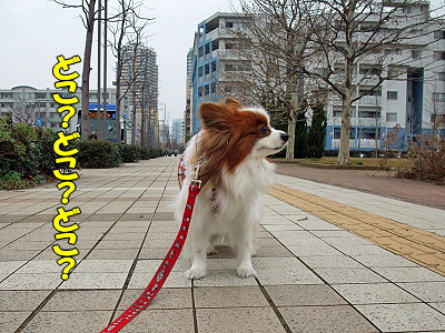 JOY¤È¶¦¤Ë¡¦Á°ÊÔ¤