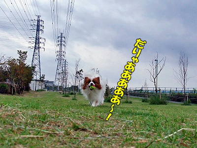 ¤Û¤ó¤Þ¤Ë°ìÃÊÍî¡ú¤