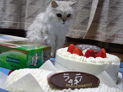 Happy Birthday HERMES 2007¨