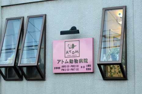 ¥¢¥È¥àưʪɱ¡¦
