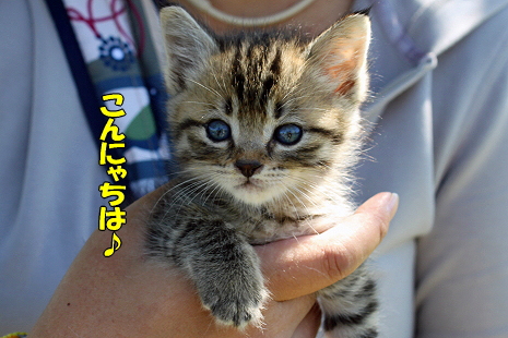 ½©¤Î¥ª¥Õ²ñ¡¡¤½¤Î£²¢
