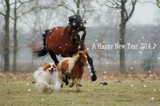 ¡ÚNEW YEAR 2014 ¡ú¡ù¡ú¡Û¡¡01
