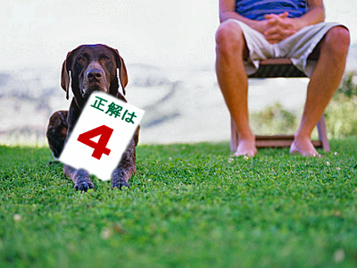 Àµ²ò¤Ï£´ÈÖ¡ú
