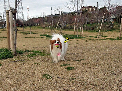 ¤¹¤×¤ê¤ó¤°¡ú¥×¥Á¥ª¥Õ part2ª