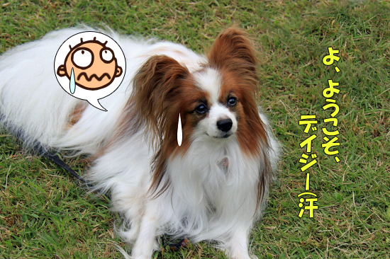 ¡Ú¥µ¥¶¥ª¥Õ2011¡Û part6¡¡20