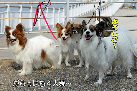 ¤µ¤¤Ã¤Ä¤¡¤ó¥ª¥Õ¢öª