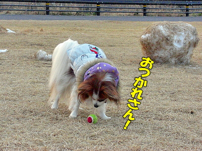 ¤µ¤é¤ÐÀ㸶¡ªª