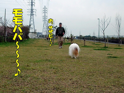 ¥â¥Î¥Þ¥Í¦