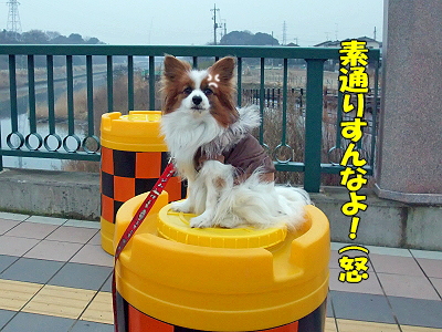 ¥µ¥¶¥Ó¡¼¡ú´Ø½ê©