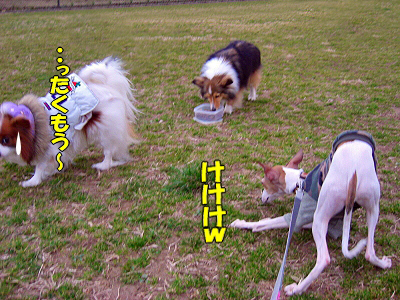 郎°ìÈÖ¡¦¡¦¡¦¡¦«
