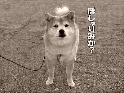 ¿Í´Ö¸ì¡¦Ìõ¤