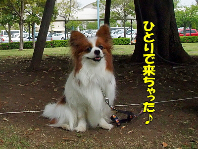 GWËëÄ¥¥ª¥Õ¡Ê³¤É͸ø±àÊԡ˱