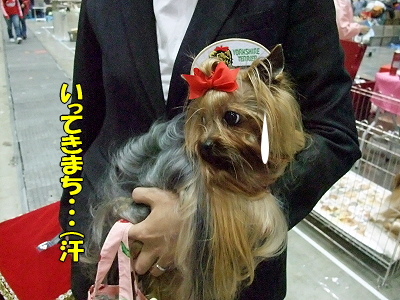 ¥¢¥¸¥¢¥¤¥ó¥¿¡¼2009¡ÊÁ°Êԡ˲