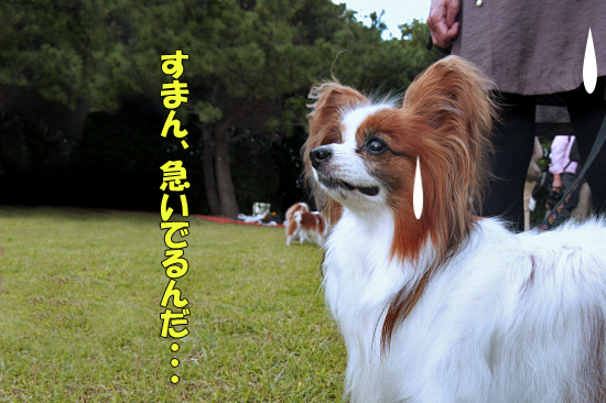 ¡Ú¥µ¥¶¥ª¥Õ2011¡Û part6¡¡17