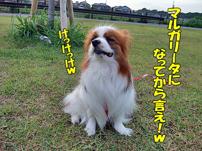 ¥á¥¿¥Ü¤¸¤ã¤Ê¤¤¡ªª