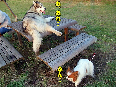 »£±Æ¡ú¥