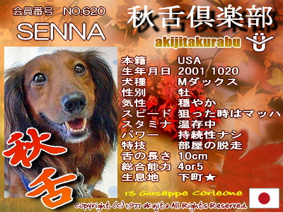 620-senna-aki