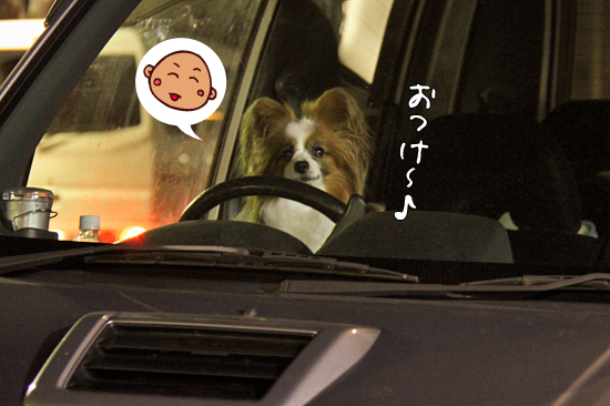 ¥Á¥ç¥³¤È¥Ï¡¼¥È¤È¥Ð¥ì¥ó¥¿¥¤¥ó¢ö¡¡06