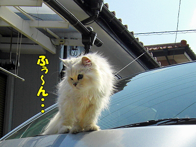 ¤ä¤ê¤¿¤¤¤³¤È¡ª©