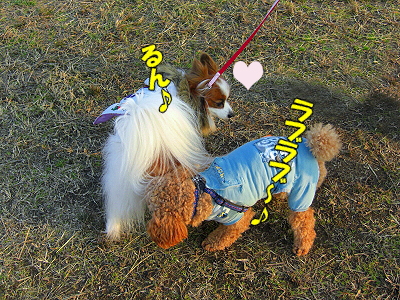 ¥¤¥ó¥Ç¥£¥¢¥ó¤òõ¤·¤Æ¡¦¡¦¡¦¡¦°