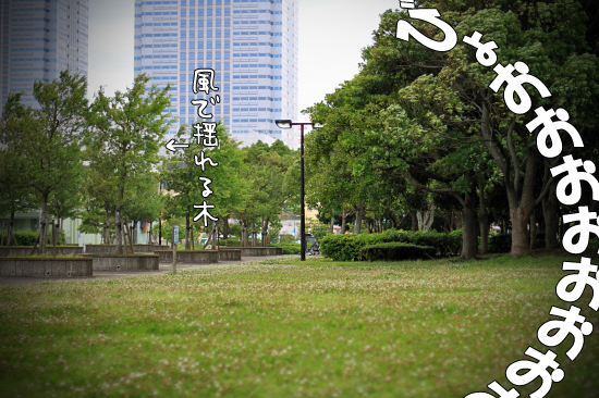 After the typhoon¡£¡£¡¡04
