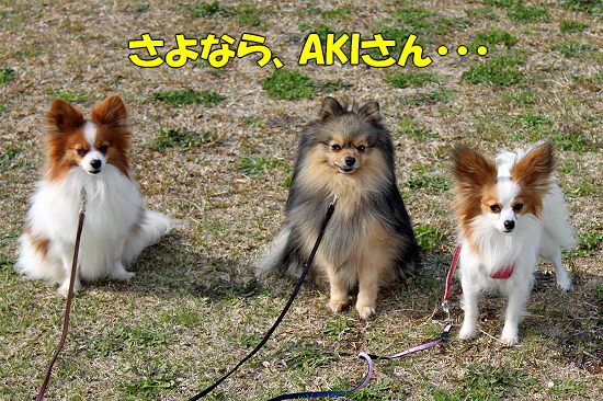 ¤µ¤è¤Ê¤é¡¢AKI¤µ¤ó¡¦¡¦¡¦¥Õ¥¡¥¤¥Ê¥ë¡ª§