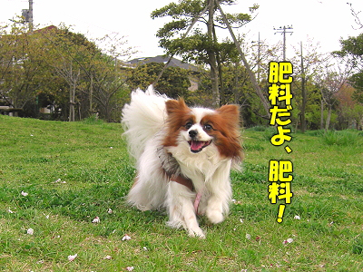 ºù»¶¤ë¡¦¡¦¡¦§