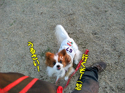 ¼ê¤¬¤«¤¸¤«¤ó¤Ç¡Ê´À«