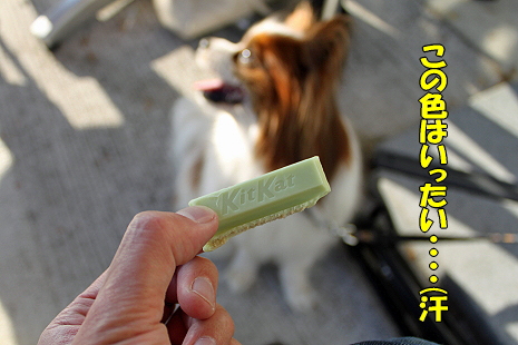 ららぽでキットカット★��