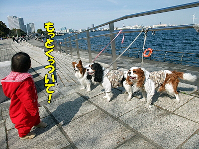 ¥µ¥¶¥Ó¡¼¡¢Î×¹Á¥Ñ¡¼¥¯¤Ë¹Ô¤¯¡ª¤Î´¬¤¯