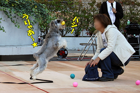 ´èÄ¥¤ì¡¢¤Ð¤Õ¢ö¡Ê¸åÊӡ˪