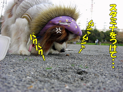 ½Ð¤Æ¤±¡¼¡¼¡¼¡ª©