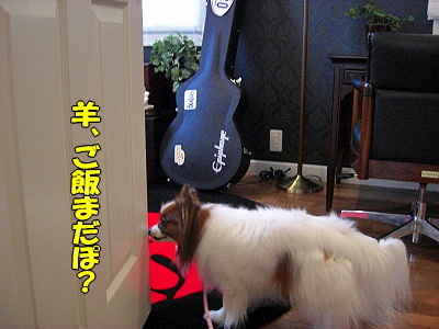 ¥µ¥¶ÉפβÆ?