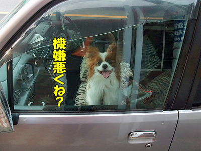 »Äǰ¤Ê¤ªÃΤ餻¡¦¡¦¡¦¡¦¡¦ª