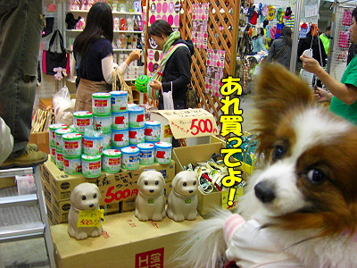 ¥¢¥¸¥¢¥¤¥ó¥¿¡¼2008¡Ê¸åÊÓ¡Ë¢