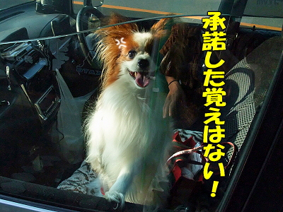¼ê½Ñ¡¦¡¦¡¦¡¦ª